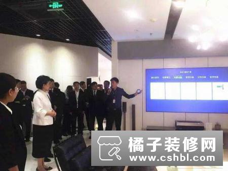 国务院副总理刘延东参观海信智慧家居展厅，体验智能家居生活
