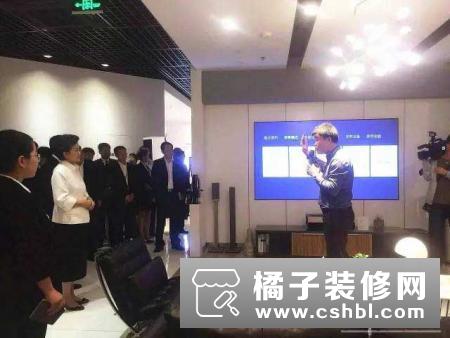 国务院副总理刘延东参观海信智慧家居展厅，体验智能家居生活